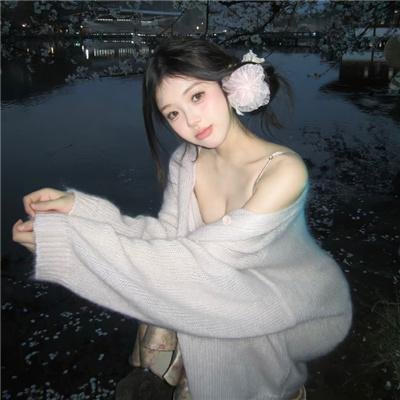 最后的飞行