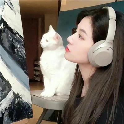 决不低头